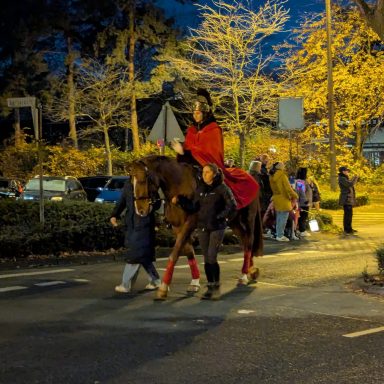 St. Martin auf seinem Pferd